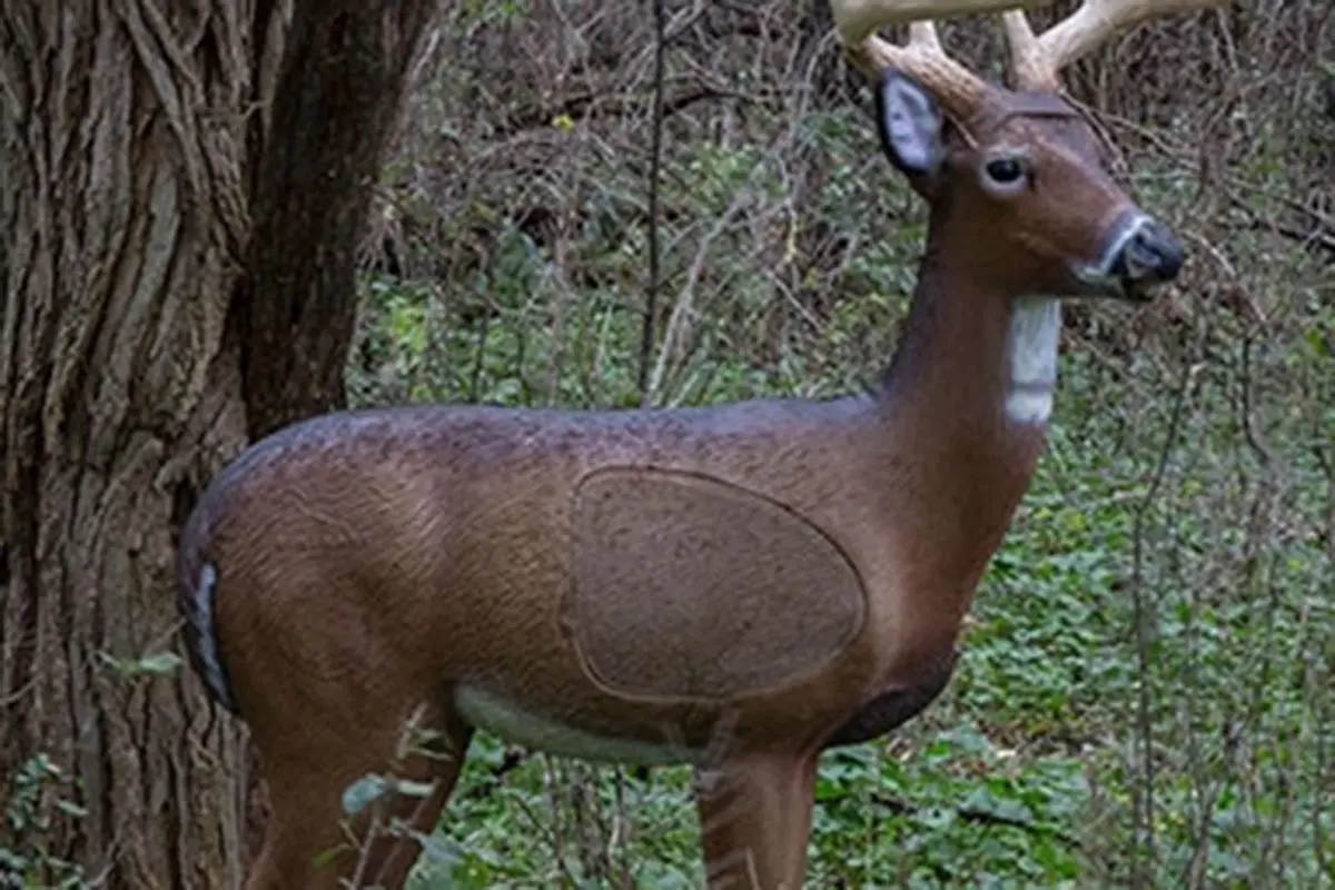 3D deer target