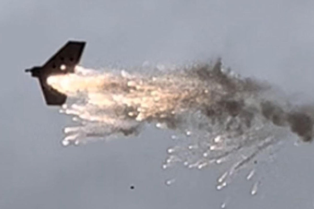 gnat shooting