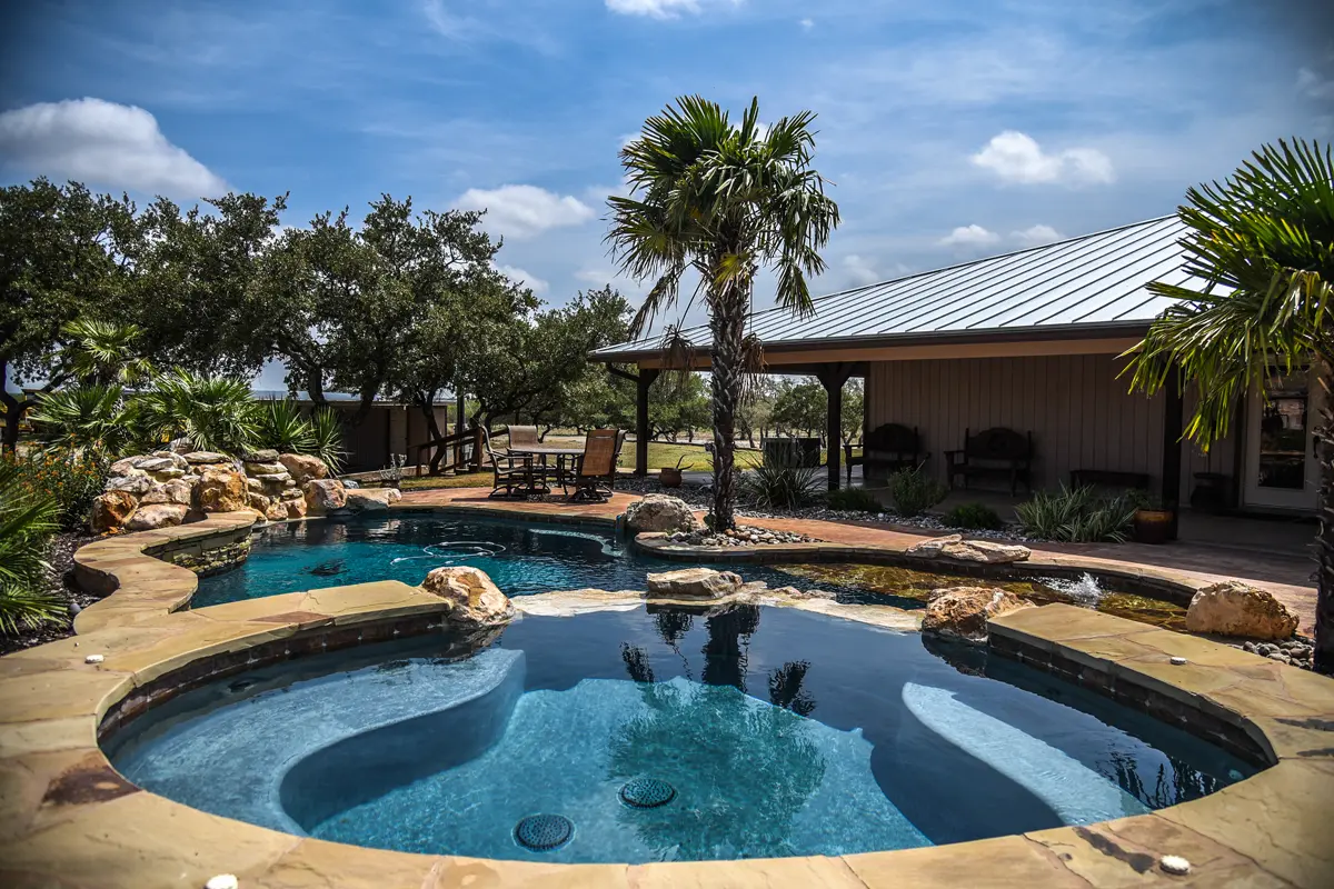 Pool surrounded by palm trees